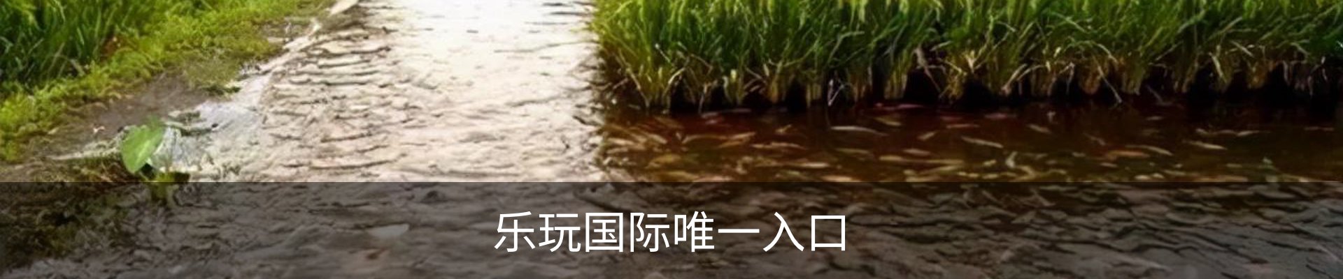 乐玩国际唯一入口